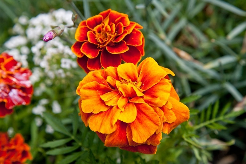 KG0060 - Pictorial & Stock Images