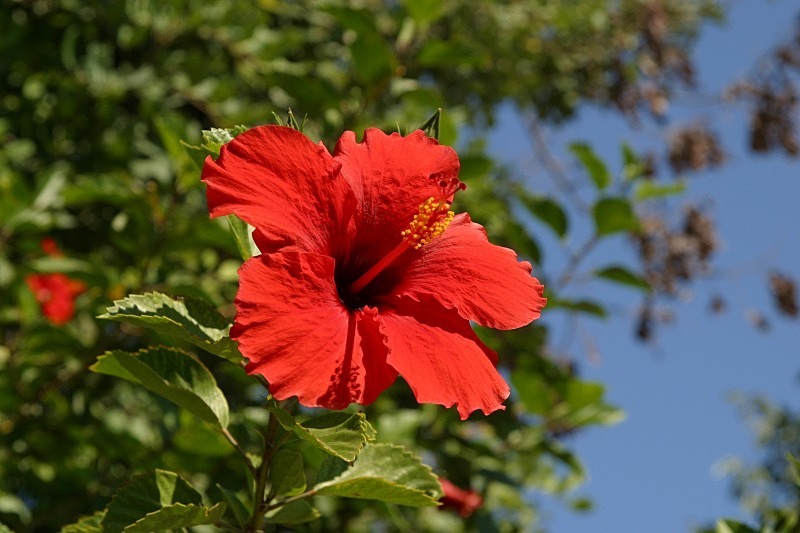 kg_1000 - Pictorial & Stock Images