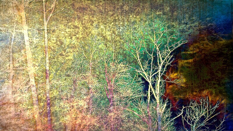  - a personal vision