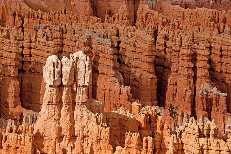 Bryce Hoodoos 12 x 18 - Out West