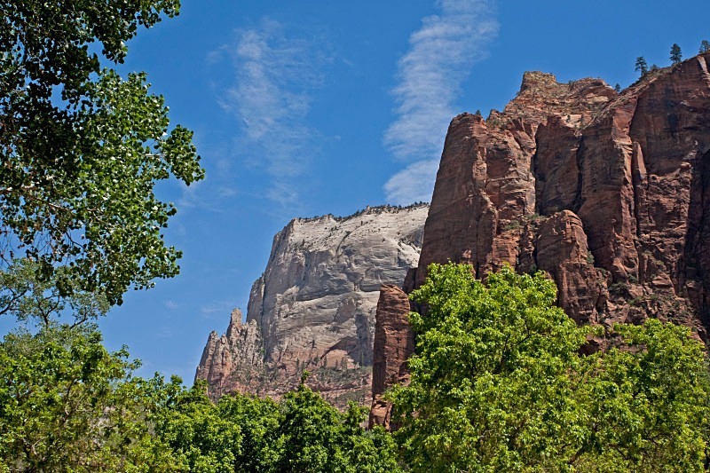 Zion 3  12 x 18 - Out West