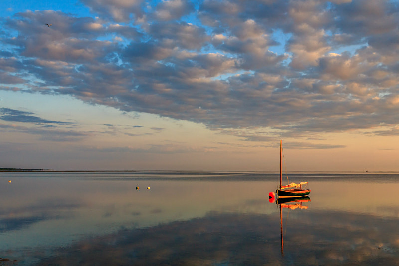 Peaceful Dawn 12 x 18 - Nantucket