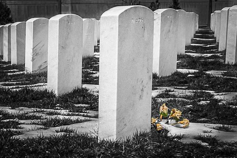 Arlington Memories - Washington DC