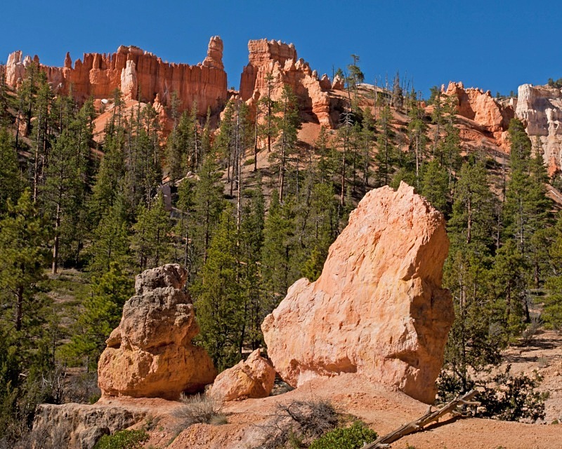 Bryce Queens Garden Trail 2  11 x 14 - Out West