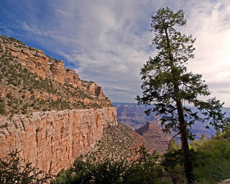 Grand Canyon Bright Angel Trail 3 11 x 14 - Out West