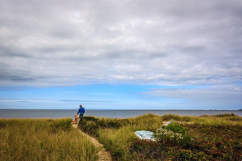 Man and His Dog 12 x 18 - Nantucket