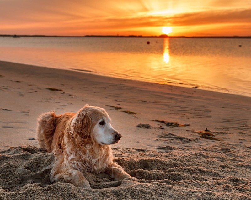  - Nantucket