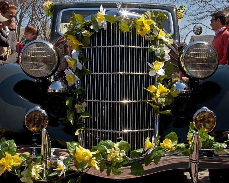 Daffodil Decor 11 x 14 - Nantucket