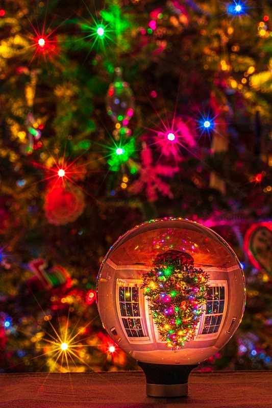 Upside Down Chritmas - New Photos