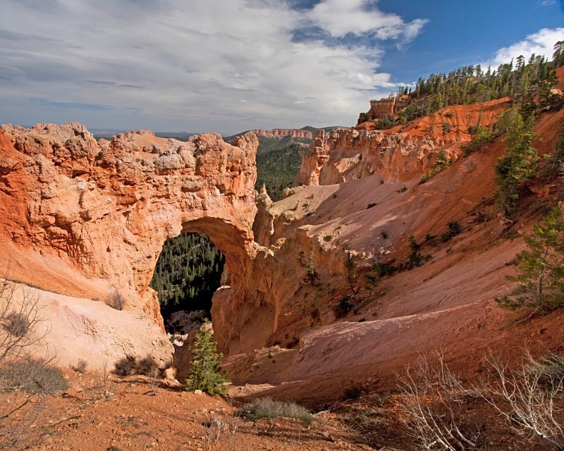 Bryce Arch 11 x 14 - Out West