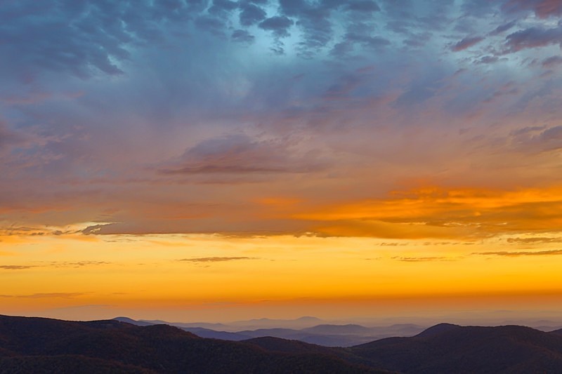 Skyline Yellows - Landscapes