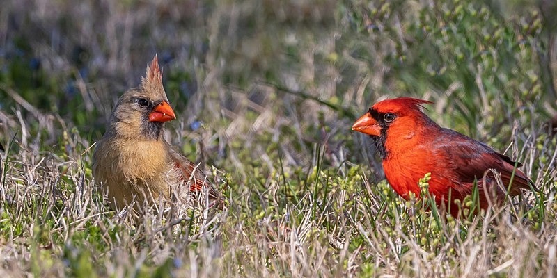 Happy Couple - New Photos