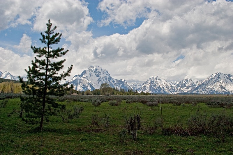 Grand Tetons Oxbow 2 12 x 18 - Out West