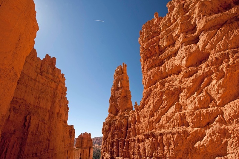 Bryce Navajo Loop Trail 12 x 18 - Out West