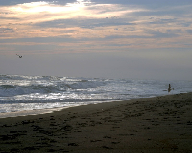 Contemplation 11 x 14 - Nantucket