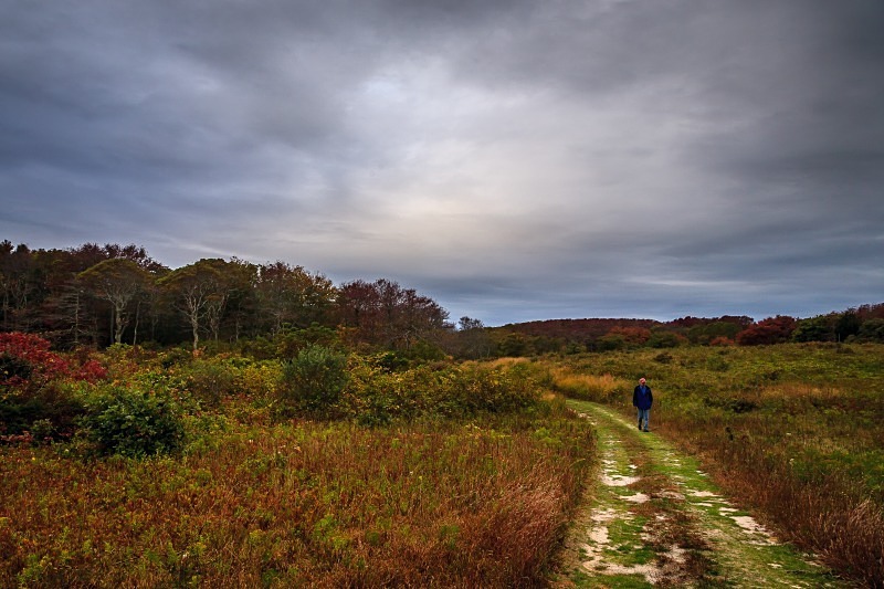 Strolling the Moors 12 x 18 - Nantucket