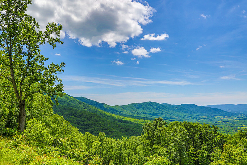 Blue Ridge Parkway - Landscapes