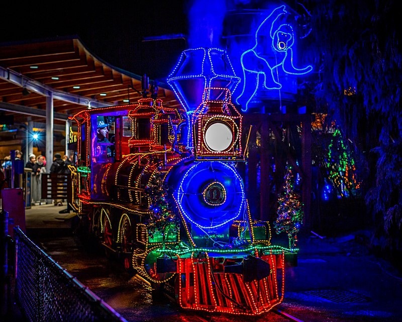 Christmas Trainride - Urban and the Unusual
