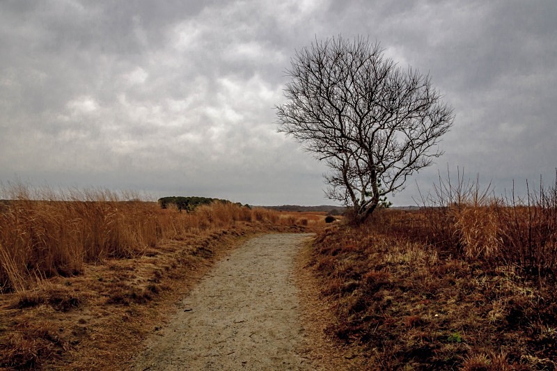 - Nantucket