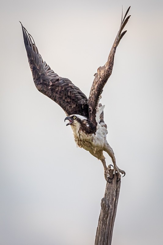 The Decisive Moment - New Photos