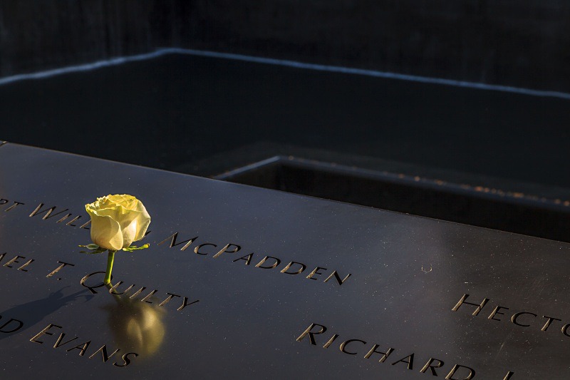 September 11 Rose - Still Life
