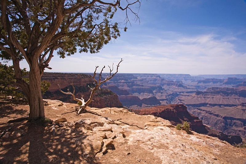 Grand Canyon Hermit Road 12 x 18 - Out West