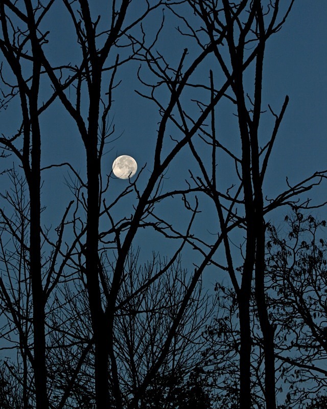 Moonset 11 x 14 - Landscapes