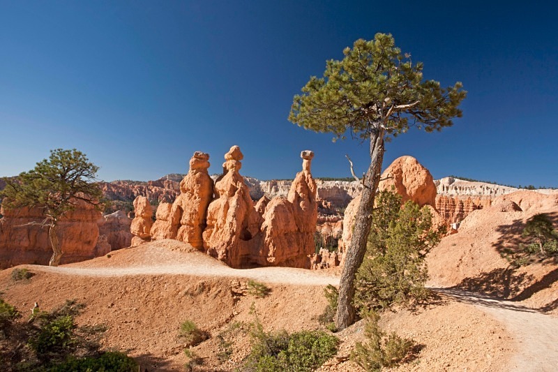 Bryce Queens Garden Trail 12 x 18 - Out West