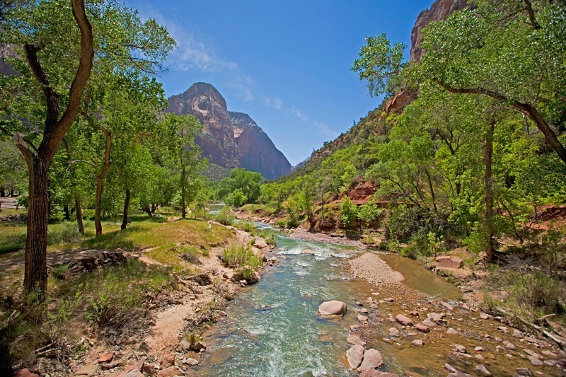 Zion Virgin River 12 x 18 - Out West