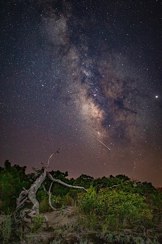 Milky Way and Meteor - Landscapes