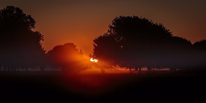 Sunrise and Silhouette - Landscapes