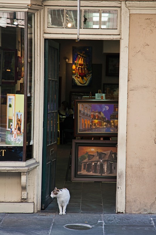 Bourbon Street Carouser 12 x 18 - Urban and the Unusual