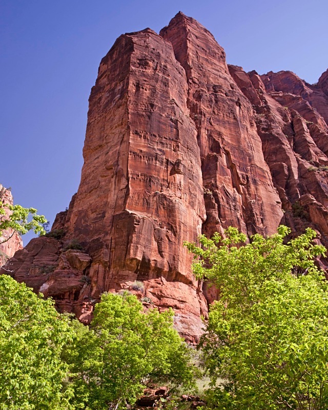 Zion 2  12 x 18 - Out West