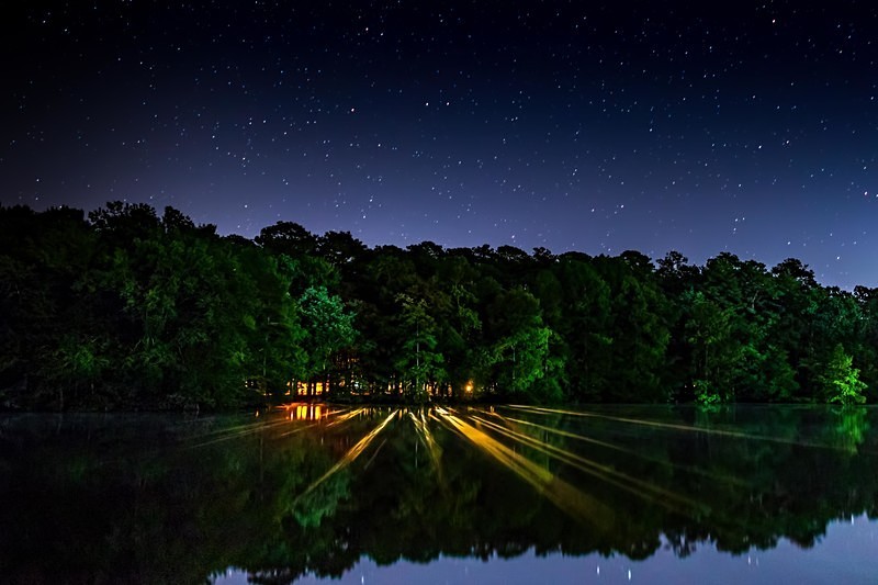 Trap Pond - Landscapes