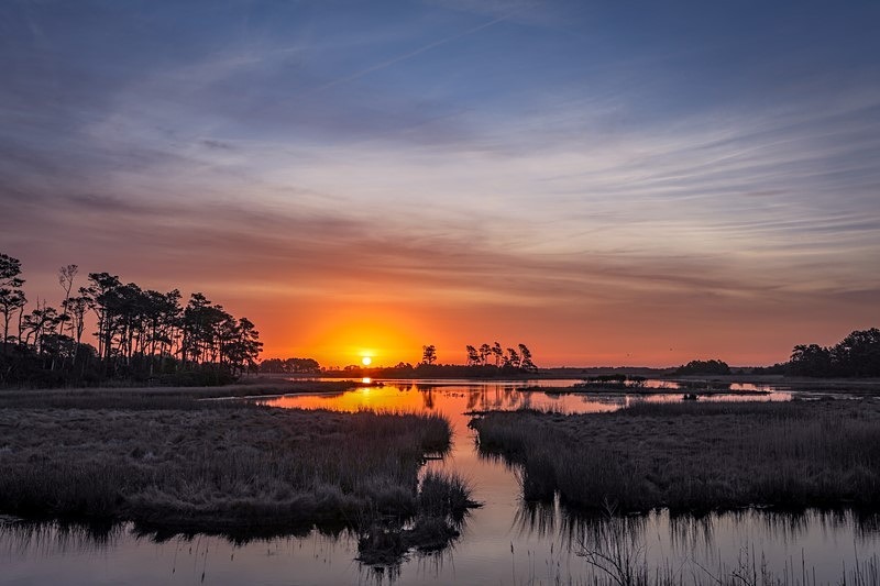 Chincoteague Dawn - Landscapes