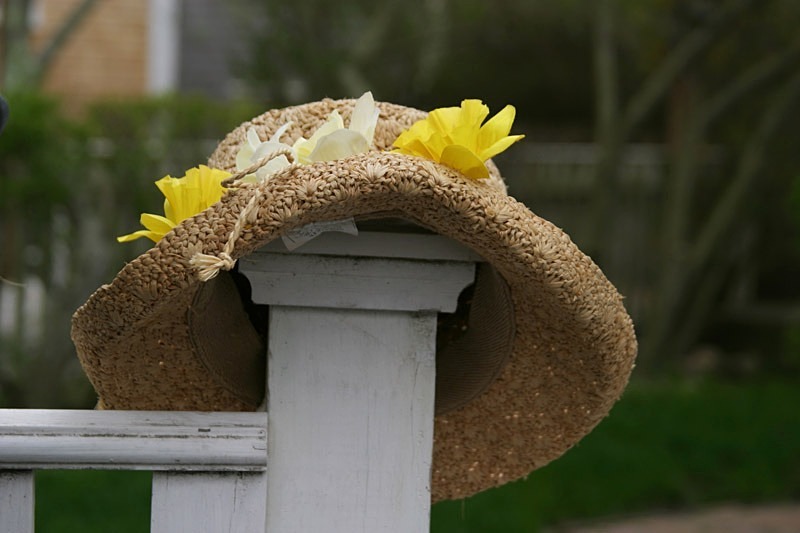 Those Lovely Daffodils 12 x 18 - Nantucket
