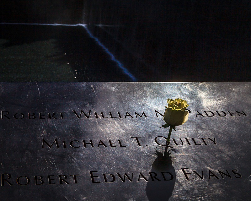 September 11 Rose 2 - Still Life