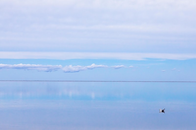 Peaceful Reflections - Nantucket