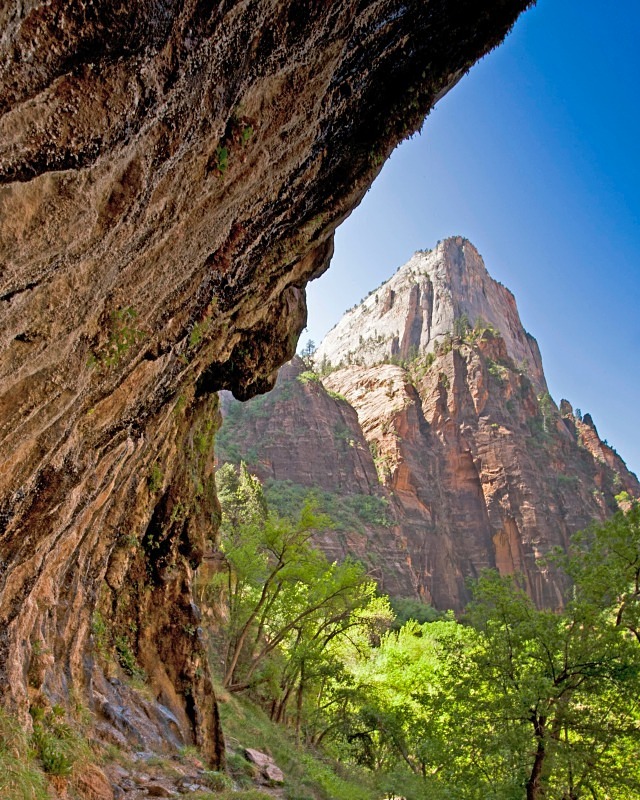 Zion Weeping Rock 11 x 14 - Out West