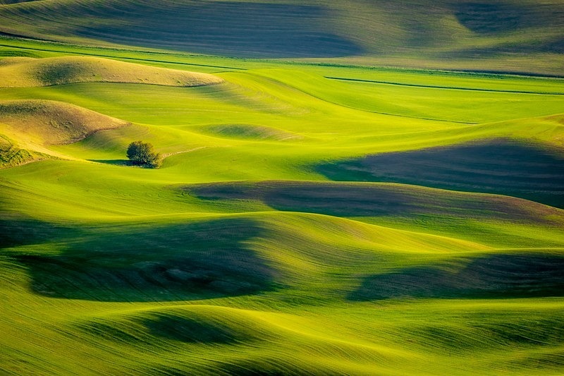 Palouse - New Photos