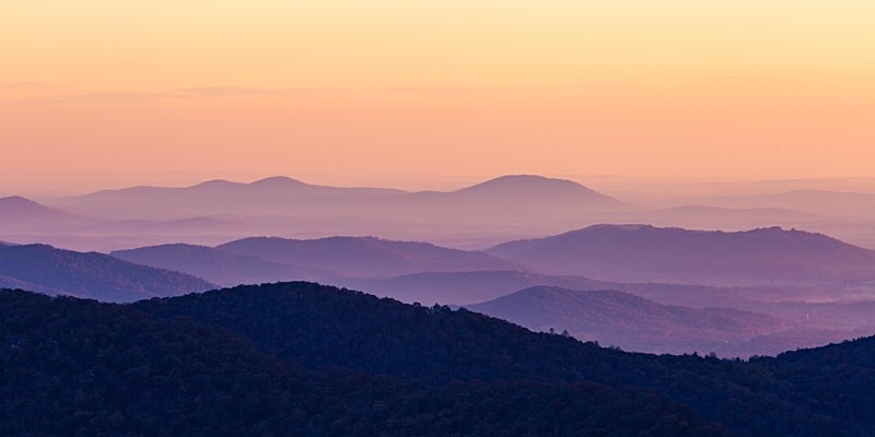 Skyline Violets - Landscapes