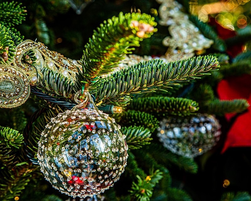 Merry Christmas - Still Life