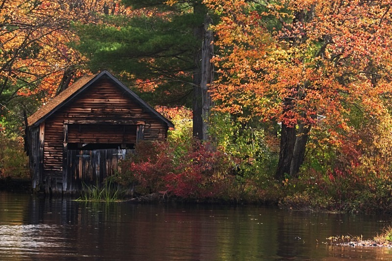 Seasons End 12 x 18 - New Hampshire