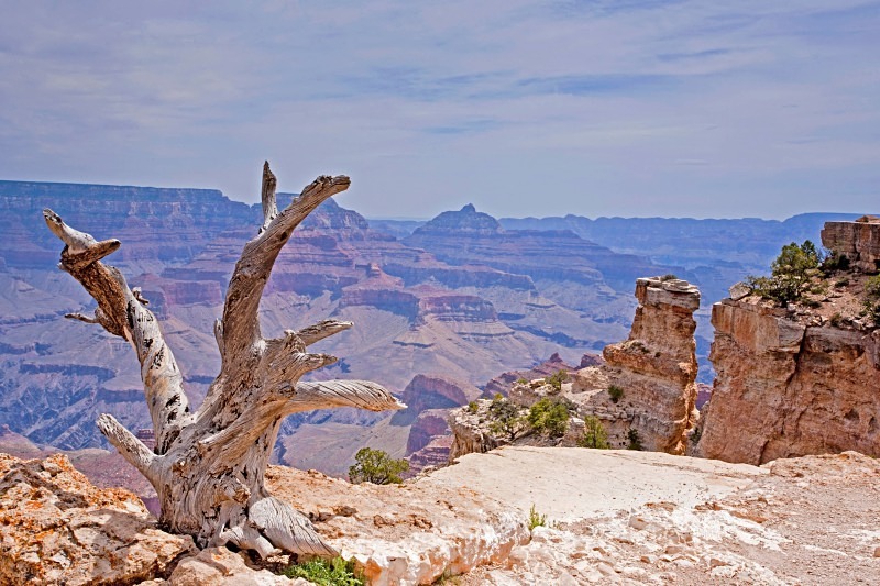 Grand Canyon Rim Trail 12 x 18 - Out West