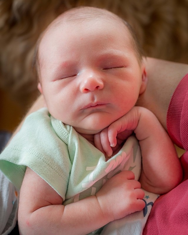 Precious Peace - Portraits