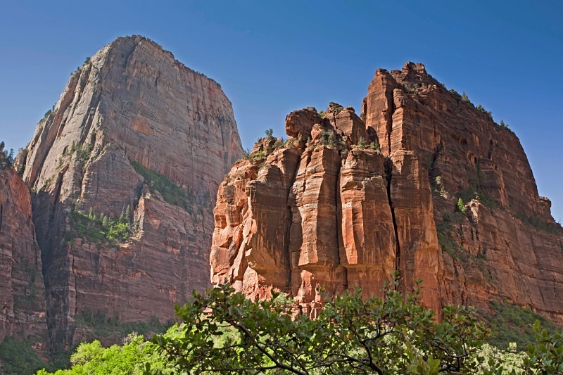 Zion 1  12 x 18 - Out West