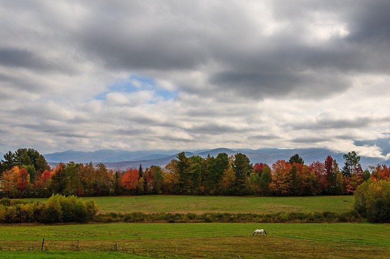 Sugar Hill 12 x 18 - New Hampshire