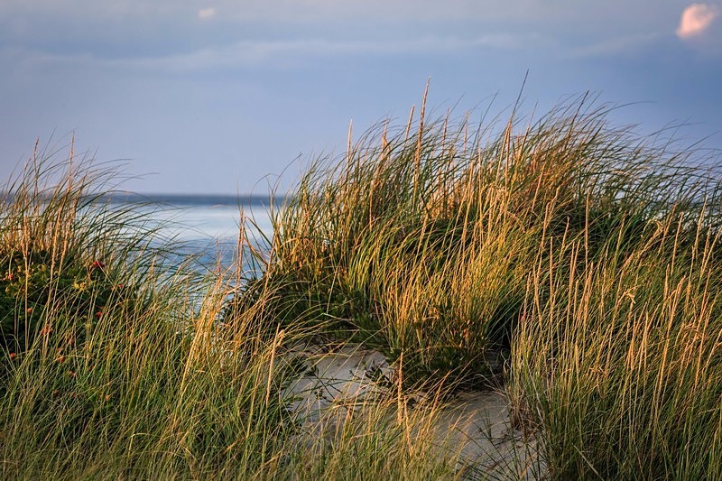 Pathway to Heaven - Nantucket