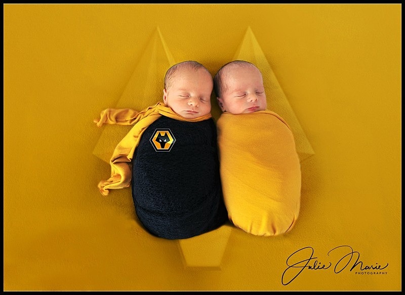 wolves twins - Newborn Babies