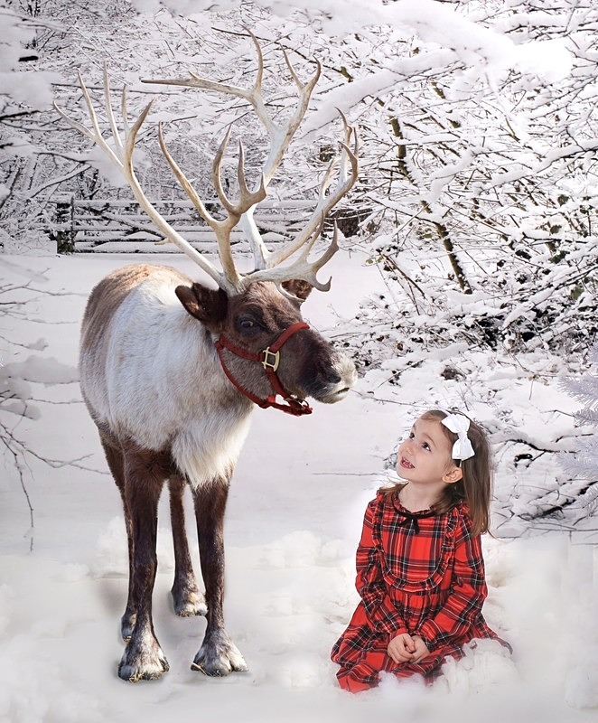 reindeer friend - Christmas